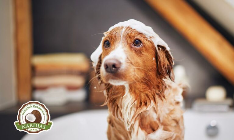 Dieses Hundeshampoo eignet sich auch gegen Juckreiz